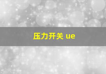 压力开关 ue